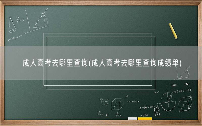 成人高考成绩查询入口