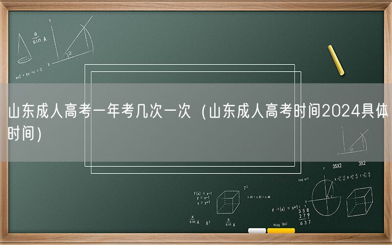 山东成人高考次数时间2024