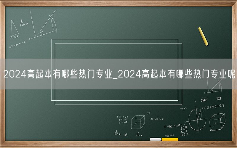 2024高起本热门专业大盘点